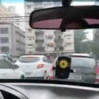 why won't you turn greeeeeen?