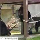 Me me …it’s all about me