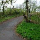 Went down the exact same hill yesterday no bother.... not today! (He was fine btw)