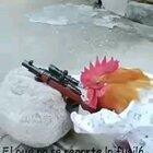 un poco se humor grupo 🙋🏿