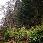 The peaceful sound of a rain swollen creek give me a place of tranquility to remember when I’m stressed....(OC) Near McDowell, Va at the Bullpasture River. A moment of calm for your day ...