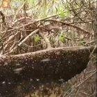 Ding ding ding we have a winner