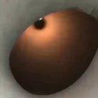 This cat smells cute people <3