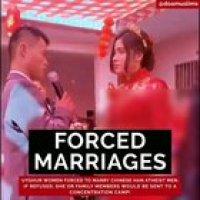 The Plight of Uyghur Muslims - A brief view of what's happening to Uyghur Muslims - Concentration Camps - Islam Banned - Stolen Generation - Forced Marriages - Mosques Demolished