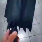 Just a regular umbrella