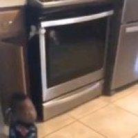 The latent reaction is what makes this