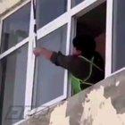 to remove a wasp nest