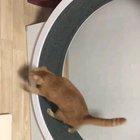 It's 2020 time to get healthy, also me :