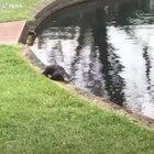 Bet you won’t understand this one Felix