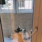 He is doing the food dance