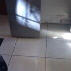 Guy casually pets his super pissed off caracal.