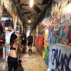 Tristin Mays - Sketchy Walk w/ Sergeant (taken from Jessie Tusher's IG Story)