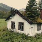 Hus med trær på taket i Hemsedal