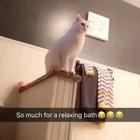 Can’t I just have a peaceful bath?