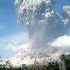 indonesia entered next level