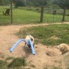 Was there an earthquake?