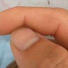 Mosquito tries its best