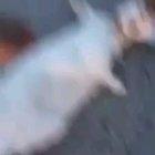 I guess this is the chance.