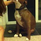 Nail clippers?...I feel faint