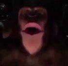 Dinner Time? Dinner Time!