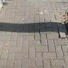 Quarantine kitty doesn’t understand social distancing