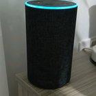 Alexa approves of second breakfast!