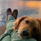 Here's a scene to get out of the bad news recently.