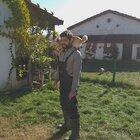 Backward cartwheel dog trick