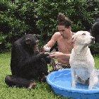 The best thing I've seen all week