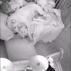 Little girl tucks in pitbull before bed