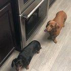 Peanut butter Mlem mlem mlem mlem mlem mlem mlem...