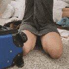 No towel needed while I brush my hair [OC]