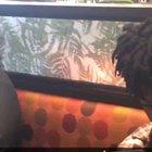 Never forget when Carti got catfished