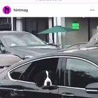 Don’t know who’s the most annoyed