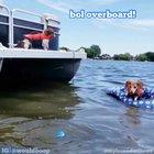 leave no ball behind