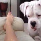 Life Is All About Learning Lessons.