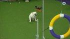 Bulldog dominates agility course at a dog show