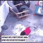 This cat saves his baby's life