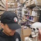 This is my new favorite video