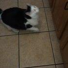 Nope. Nope. Nope. Nope. Yep.