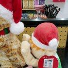 The best way to spend your Christmas.