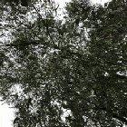 My First Every Public Flash...