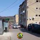 Apropriere culturala