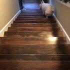 dEpReSsEd DoG cOmMiTs SuICiDe