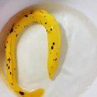 🔥 Forbidden Banana 🔥