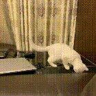 No seriously, I've got this, just keep filming.