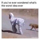 Going for stroll in the jungle