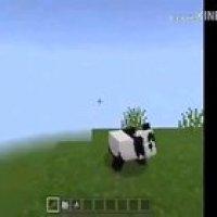 O pai foi comprar bambu