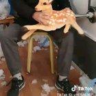 Так набивают наполнителем мягкие игрушки.