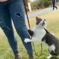 Наташ, он без маски!